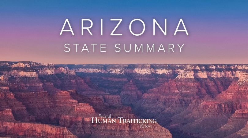 Arizona State Graphic