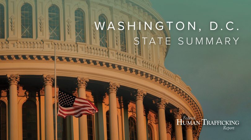 Washington D.C. State Graphic