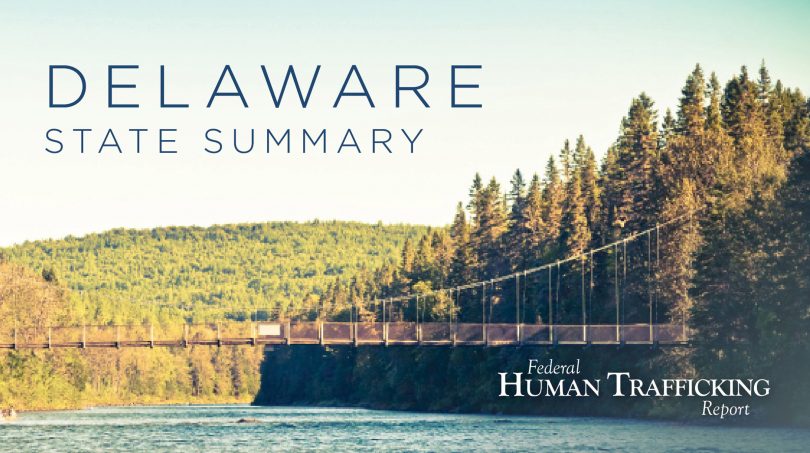 Delaware State Graphic