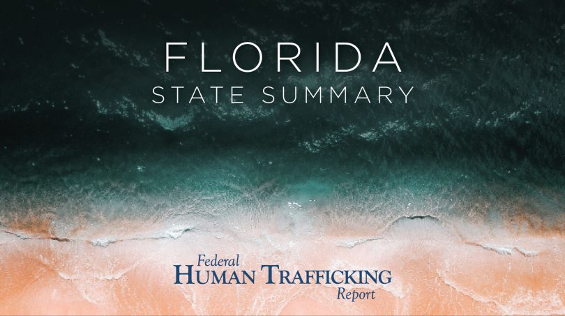 Florida State Graphic