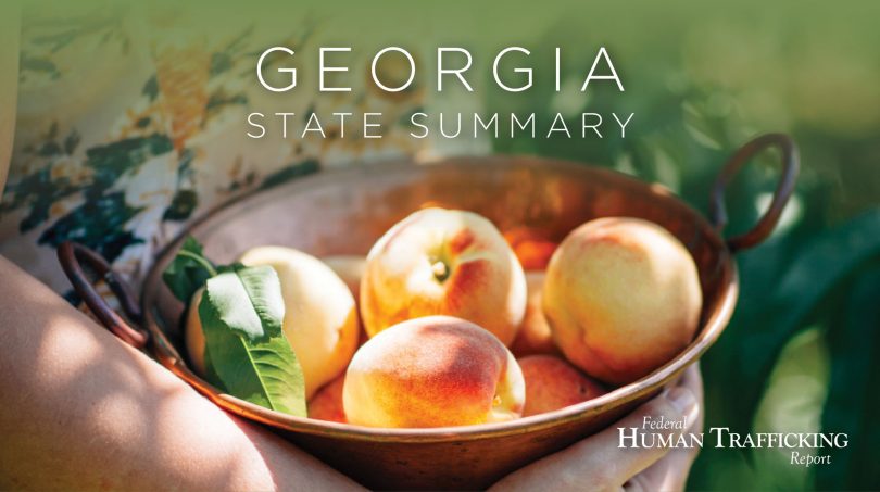 Georgia State Graphic