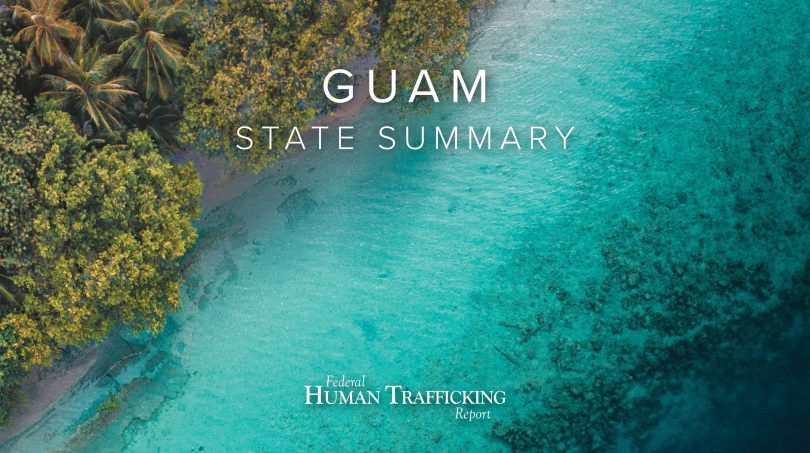 Guam State Graphic