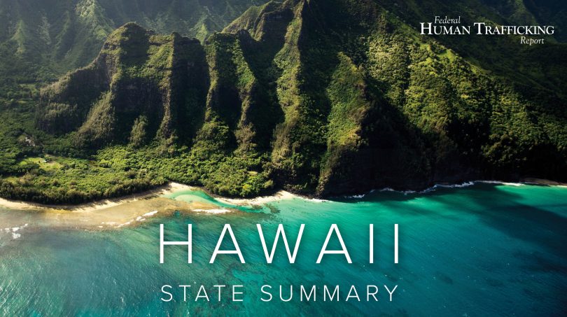 Hawaii State Graphic