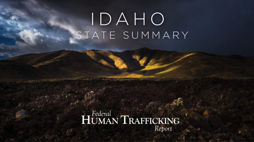 Idaho State Graphic