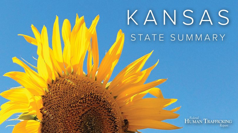 Kansas State Graphic