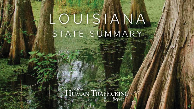 Louisiana State Graphic