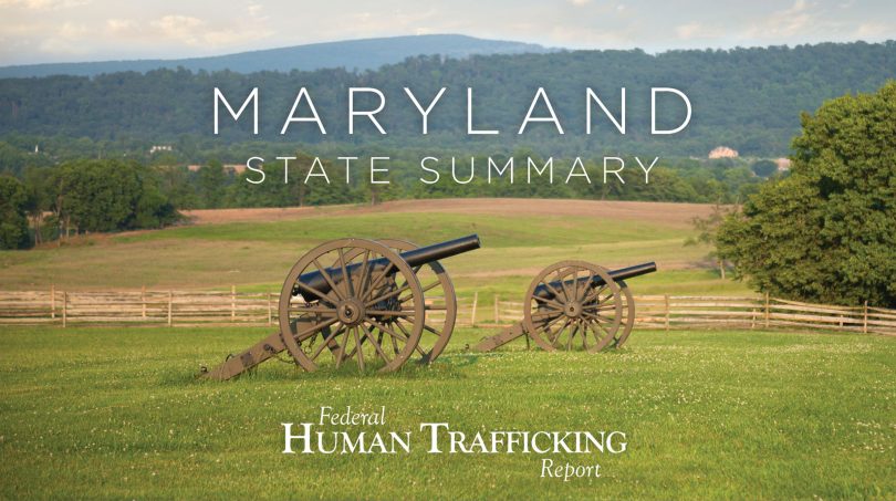 Maryland State Graphic