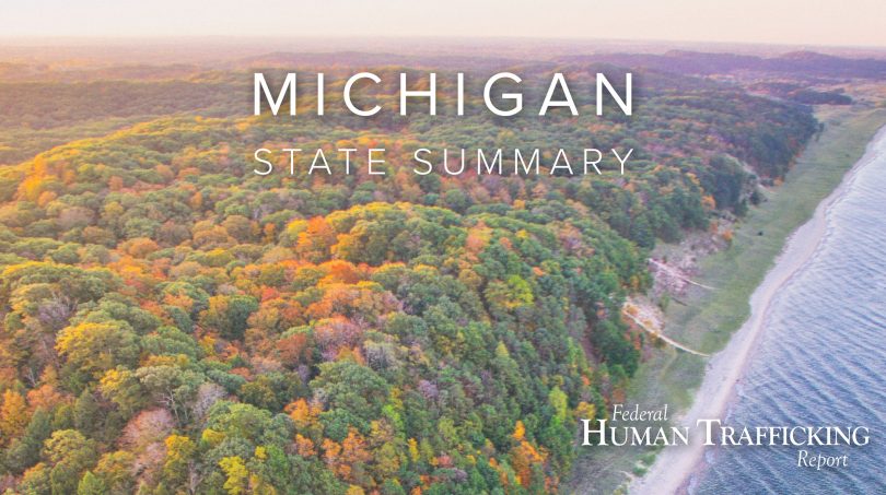 Michigan State Graphic