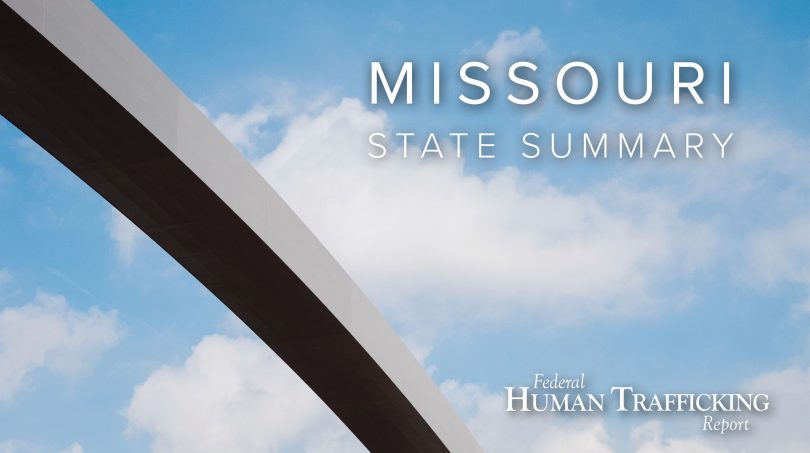 Missouri State Graphic