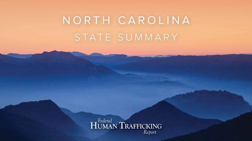 North Carolina State Graphic