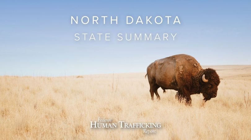 North Dakota State Graphic