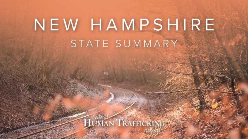 New Hampshire State Graphic