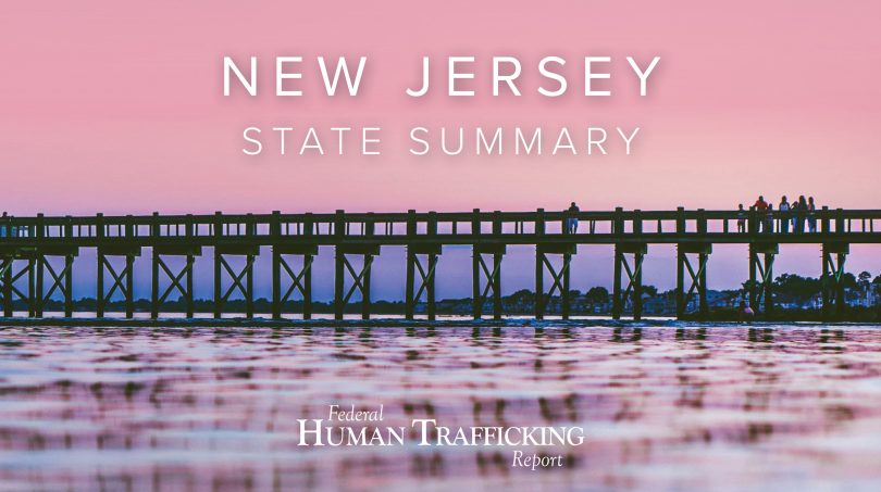 New Jersey State Graphic