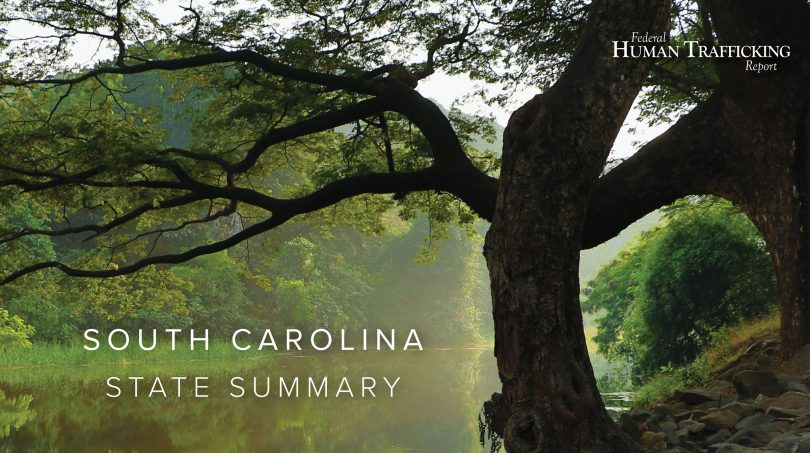 South Carolina State Graphic