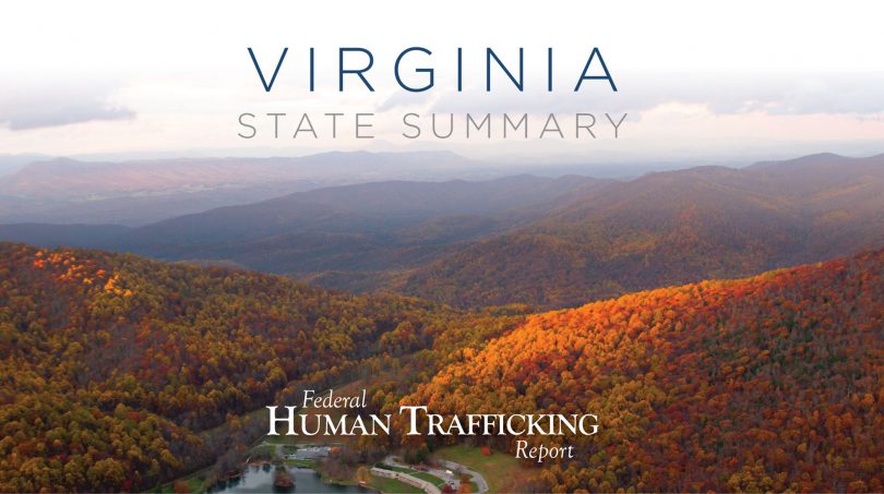 Virginia State Graphic