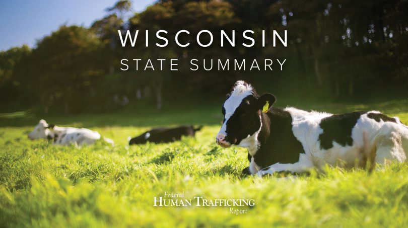 Wisconsin State Graphic