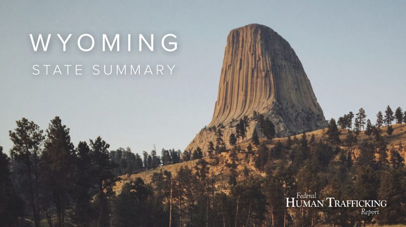 Wyoming State Graphic